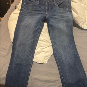 American Eagle Outfitters Blue Straight Leg Jeans
